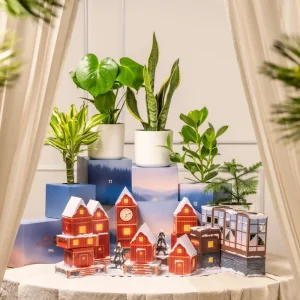 Pflanzen Adventskalender (Dschungel-Version)