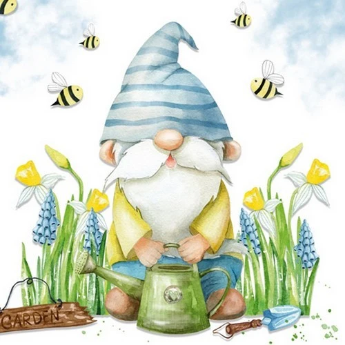 Gartenzwerg Wichtel Garden Gnome