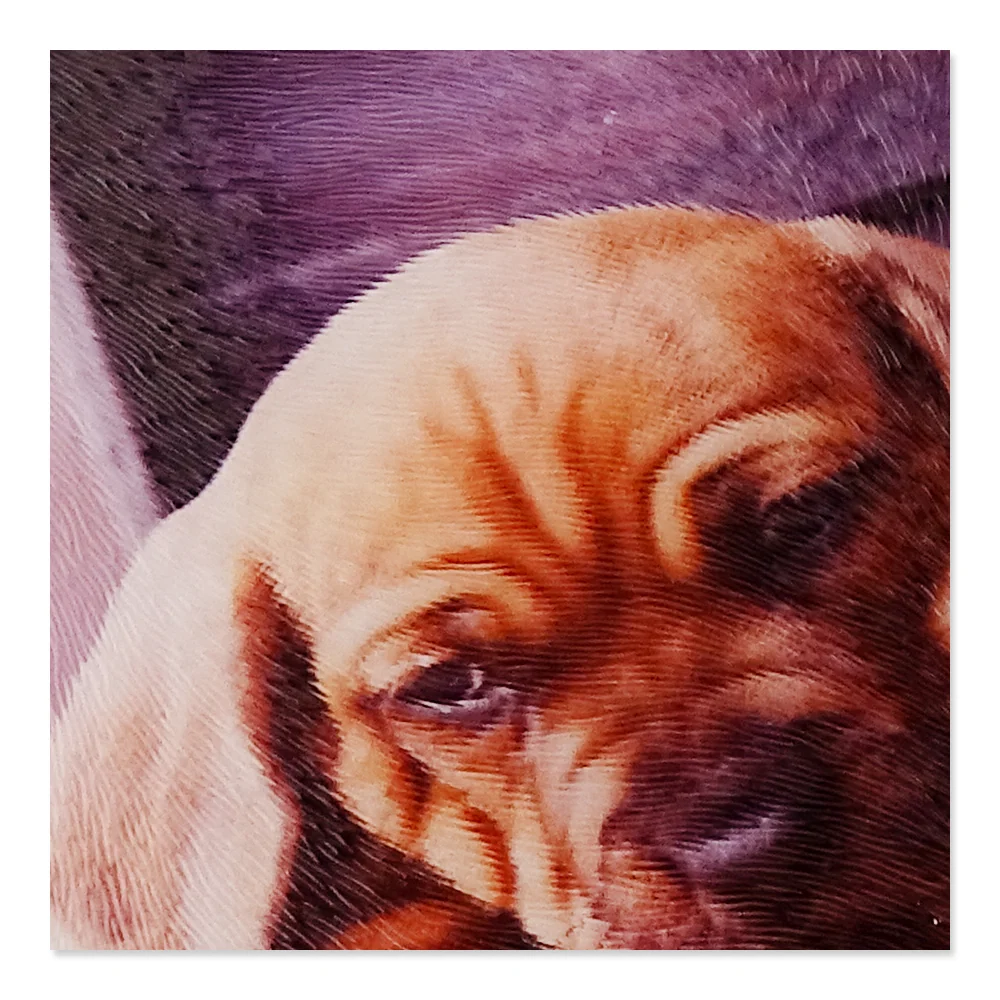 Glas-Schneidebrett 20 x 28 cm