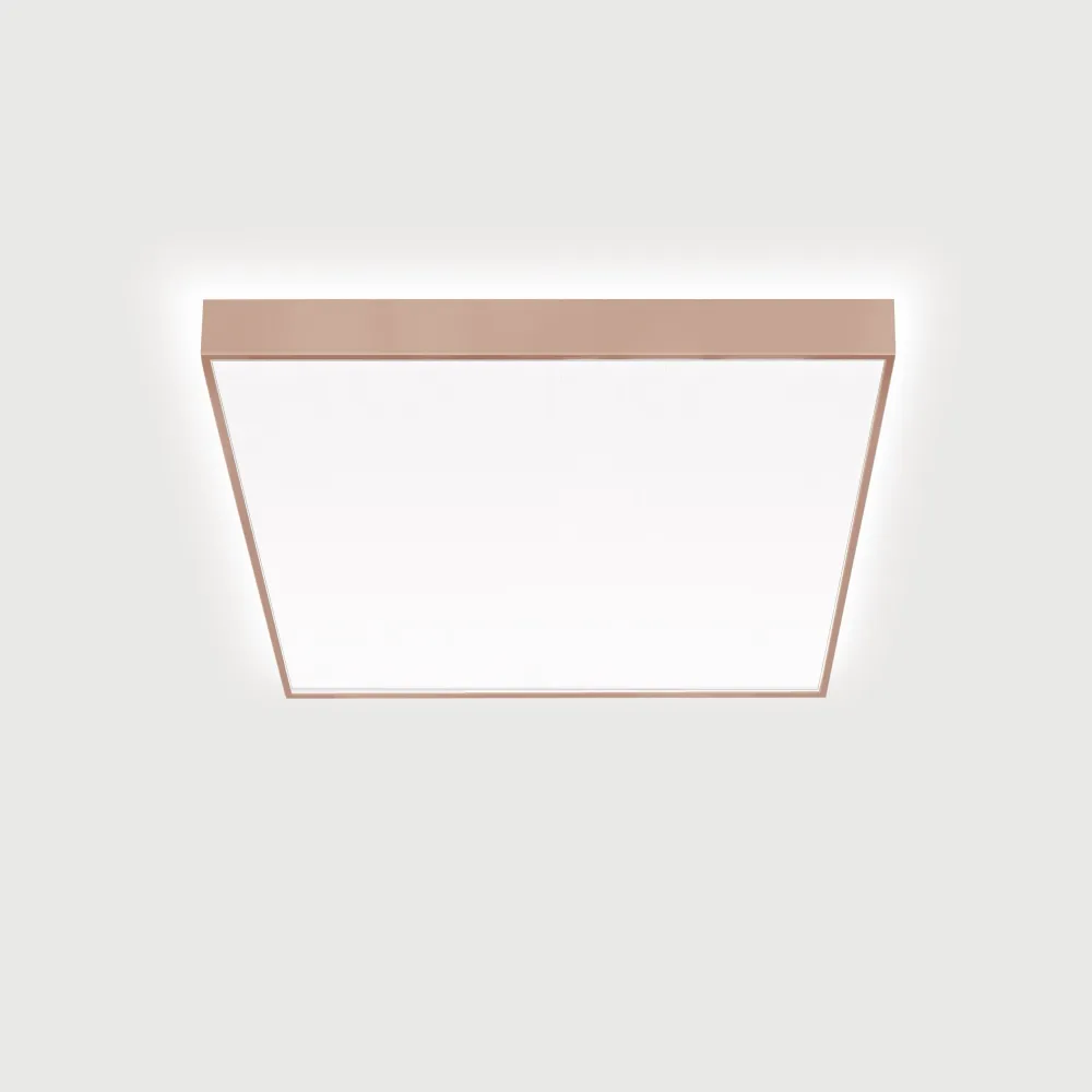 Lightnet - Decken-/Wandleuchte LED-Anbauleuchte CX2AEE-830M-Q630 3000K, silber