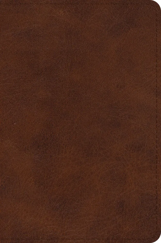 ESV Large Print Bible-Deep Brown TruTone