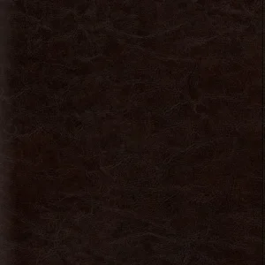 ESV Reference Bible-Coffee TruTone