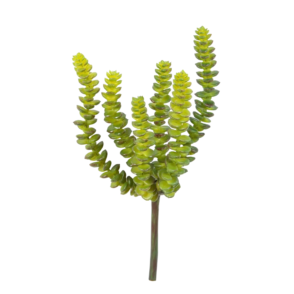 Künstliche Crassula - Hedi | 17 cm