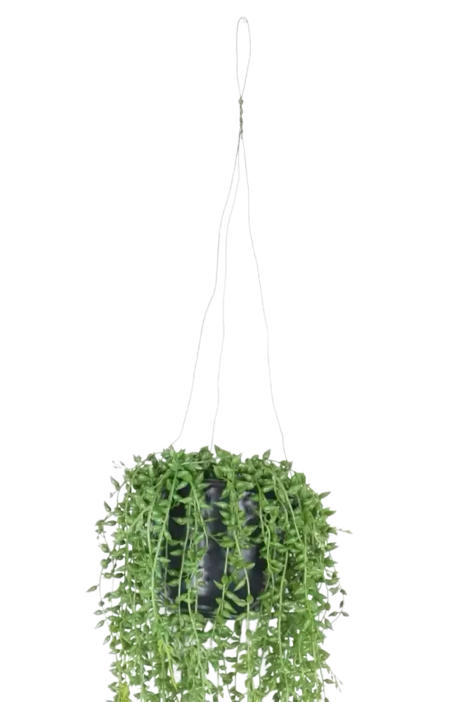 Künstliche Erbsenpflanze - Karina | 70 cm