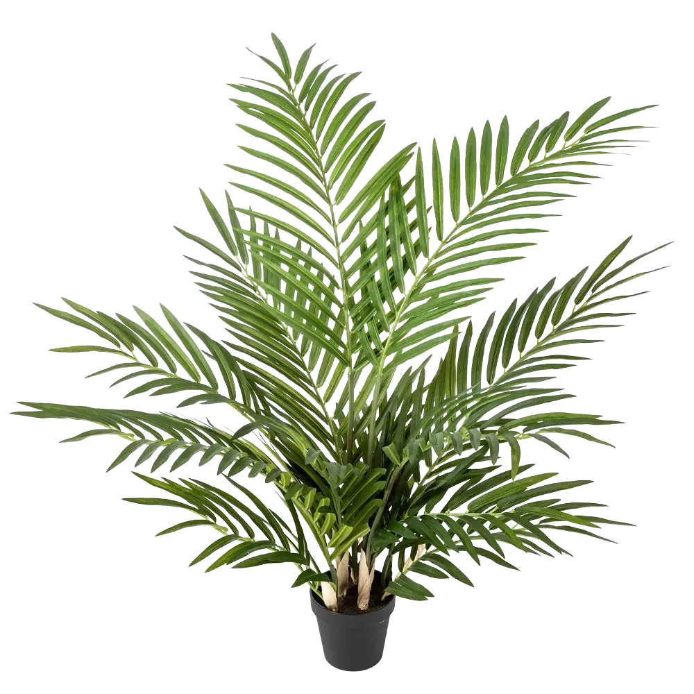 Künstliche Goldfruchtpalme - Eva | 80 cm