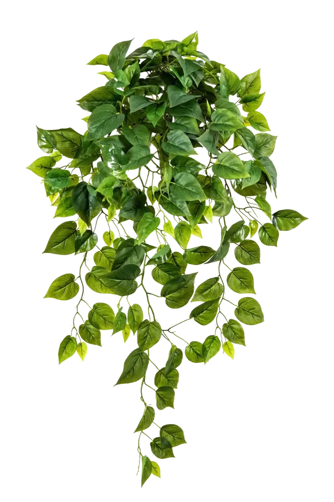 Künstliche Hänge-Monstera - Barbara | 85 cm