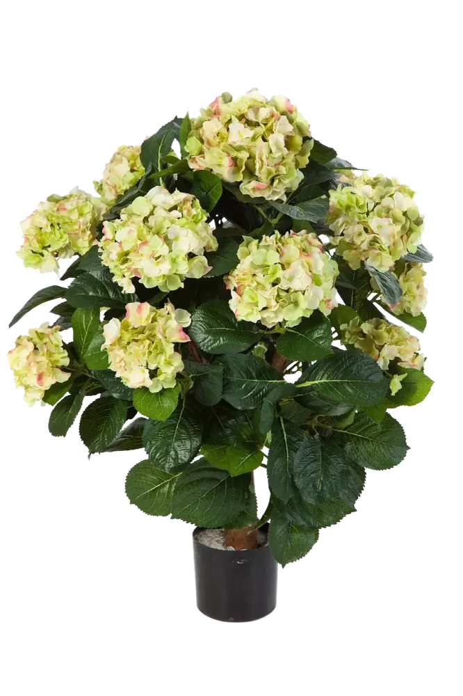 Künstliche Hortensie - Noah | 62 cm