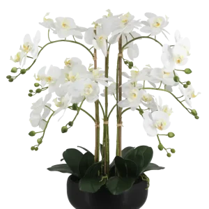 Künstliche Orchidee - Bo | 65 cm