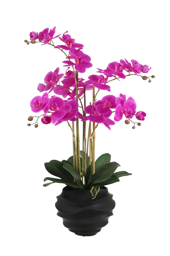 Künstliche Orchidee - Li | 67 cm