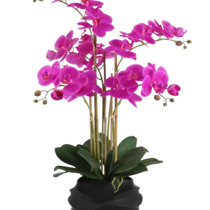 Künstliche Orchidee - Li | 67 cm