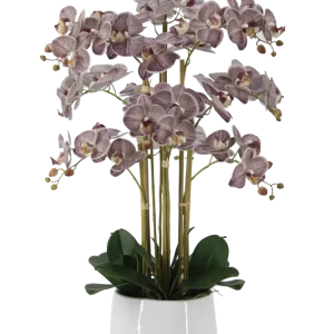 Künstliche Orchidee - Chen | 80 cm