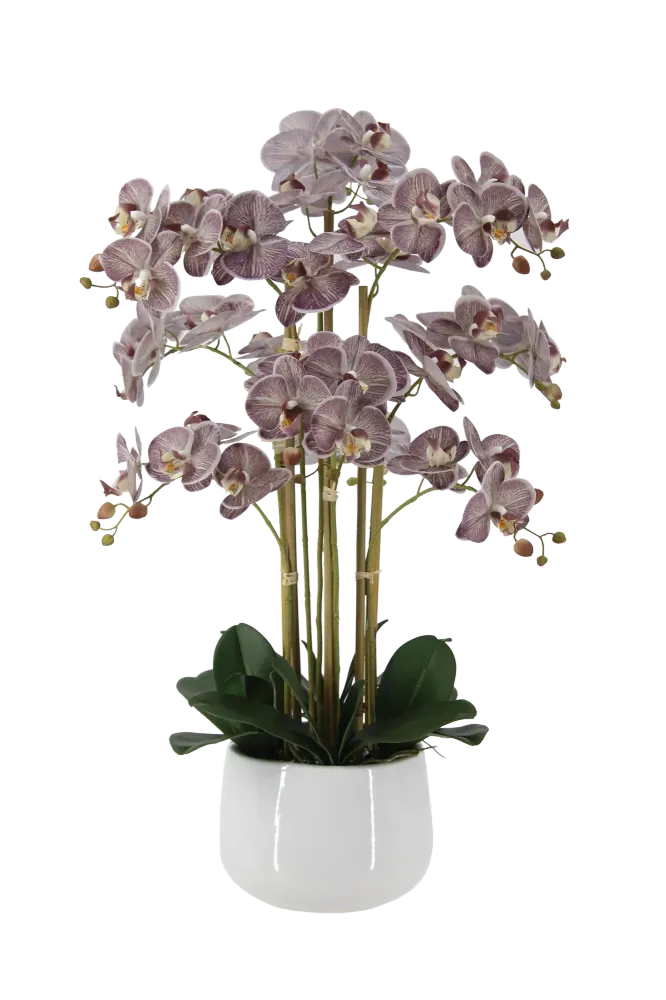 Künstliche Orchidee - Chen | 80 cm