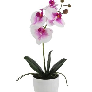 Künstliche Orchidee - Dan | 36 cm