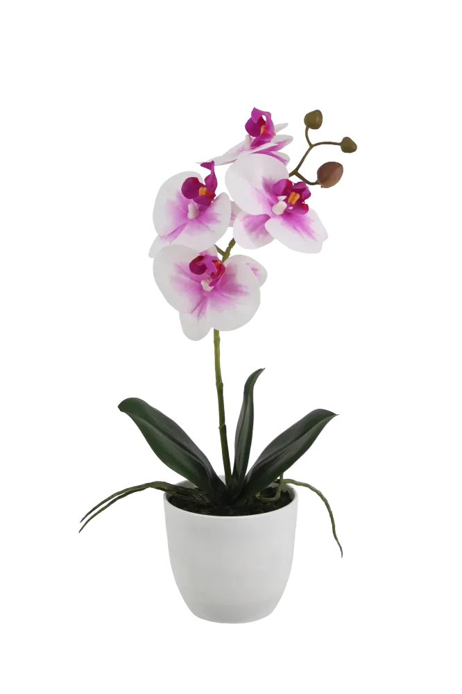 Künstliche Orchidee - Dan | 36 cm