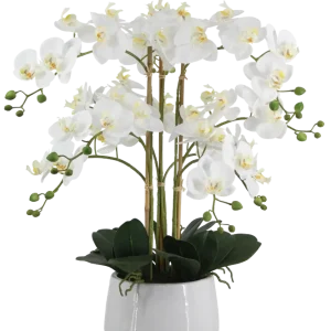 Künstliche Orchidee - Dan | 66 cm