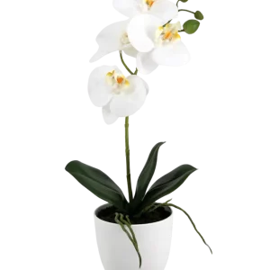 Künstliche Orchidee - Han | 36 cm