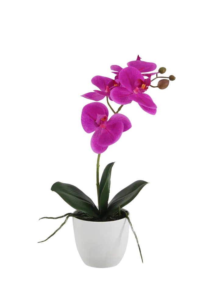 Künstliche Orchidee - Juan | 36 cm