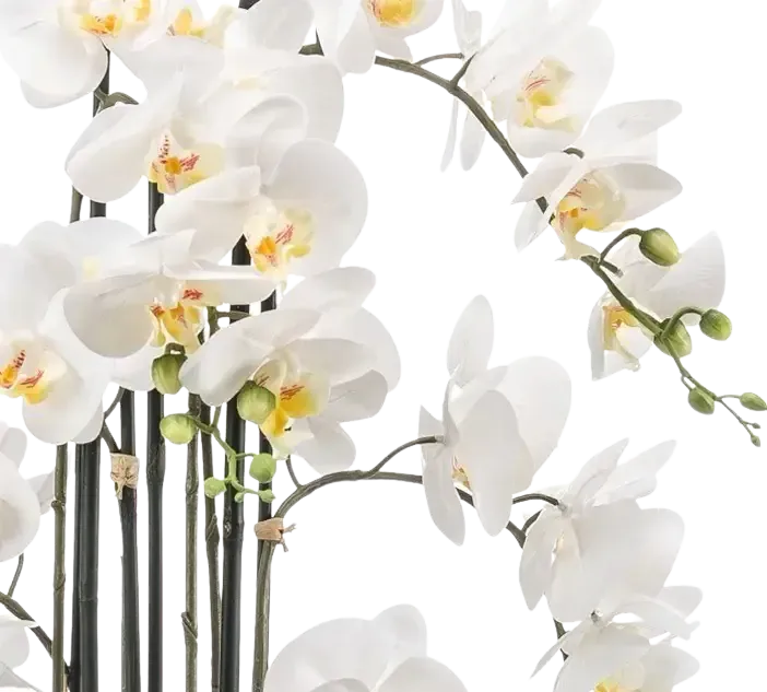 Künstliche Orchidee - Louisa | 100 cm