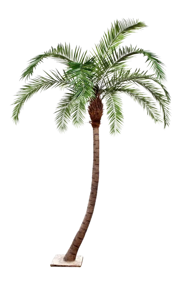 Künstliche Phoenixpalme - Simon | 300 cm