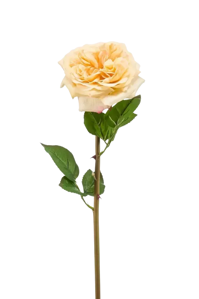 Künstliche Rose - Minerva | 60 cm