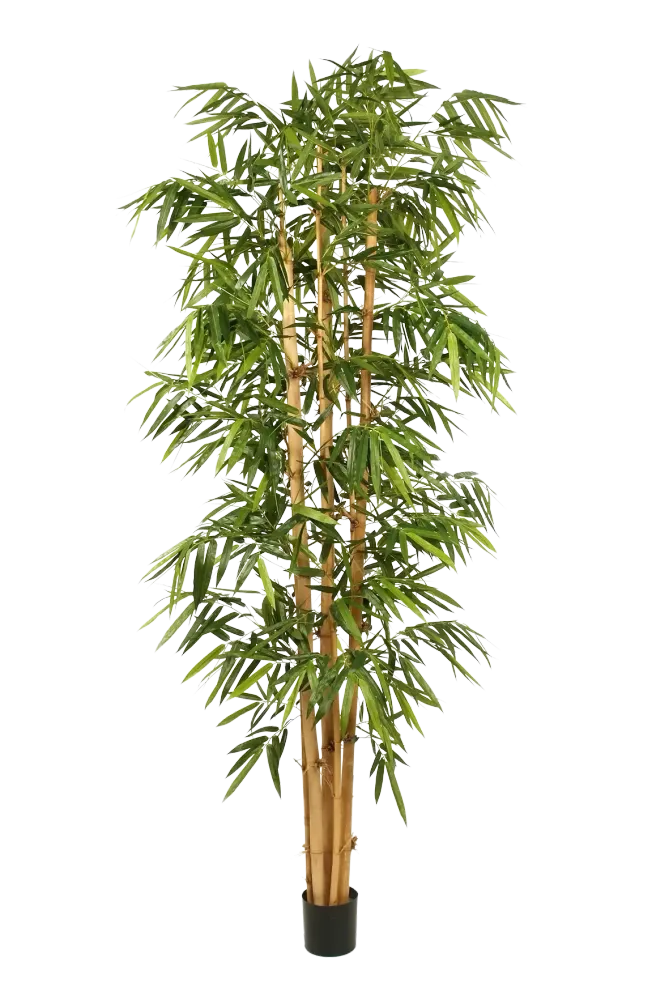 Künstlicher Bambus – Kenai | 210 cm