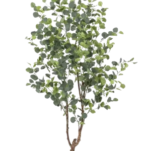 Künstlicher Eucalyptus Baum - Christopher | 180 cm