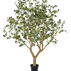 Künstlicher Eucalyptus - Kalli | 240 cm