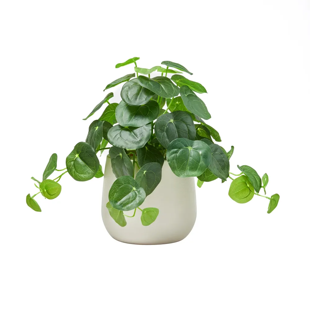 Künstlicher Geldbaum – Cassian | 39 cm