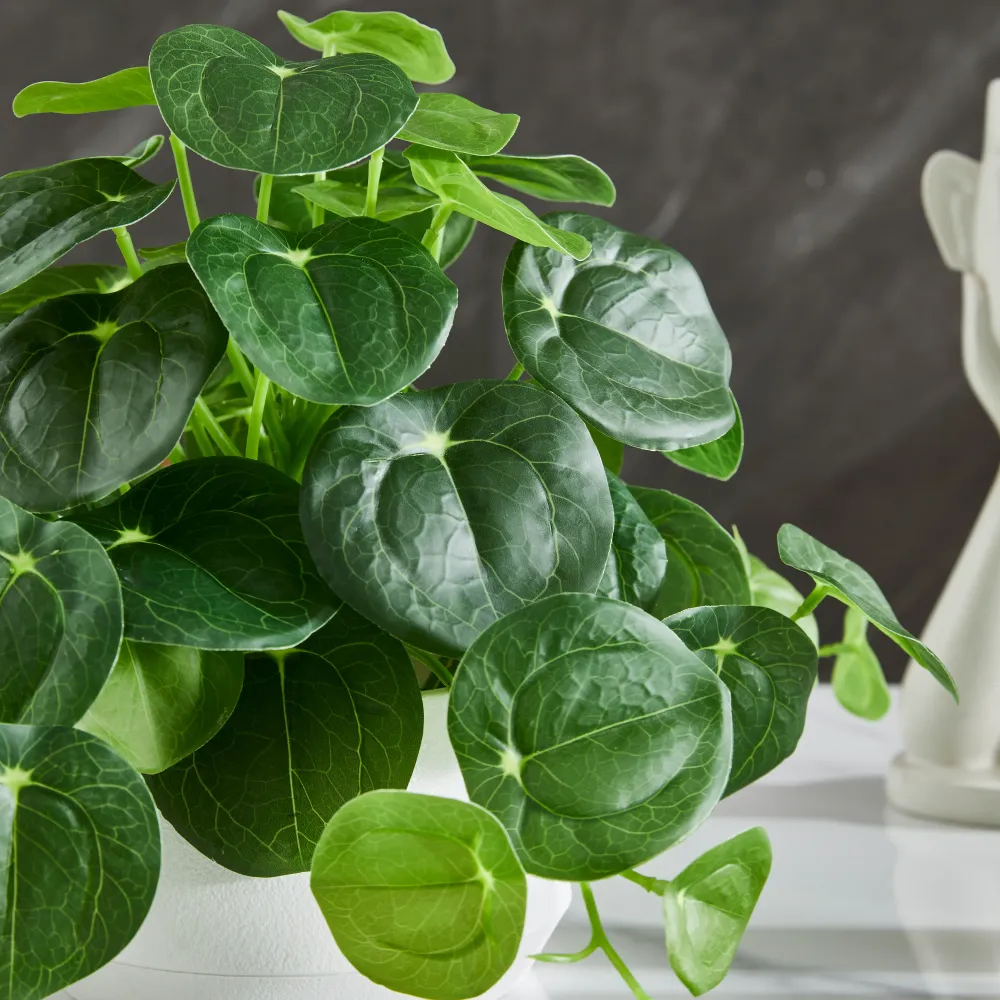 Künstlicher Geldbaum – Cassian | 24 cm