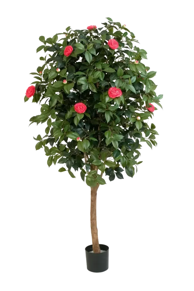 Künstlicher Kamelienbaum - Philina | 170 cm