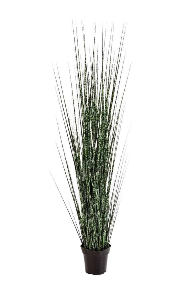 Künstliches Gras - Zebra | 120 cm