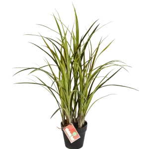 Künstliches Grass - Oceane | 75 cm