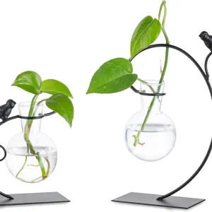 Hydroponic Glas Vase Set 2er, Moderne Blumenvase mit