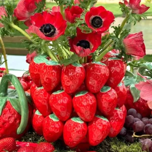 KERAMIKVASE ERDBEEREN VE