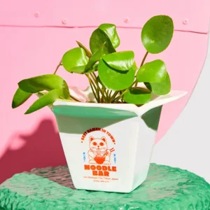 Vase "Noodles"