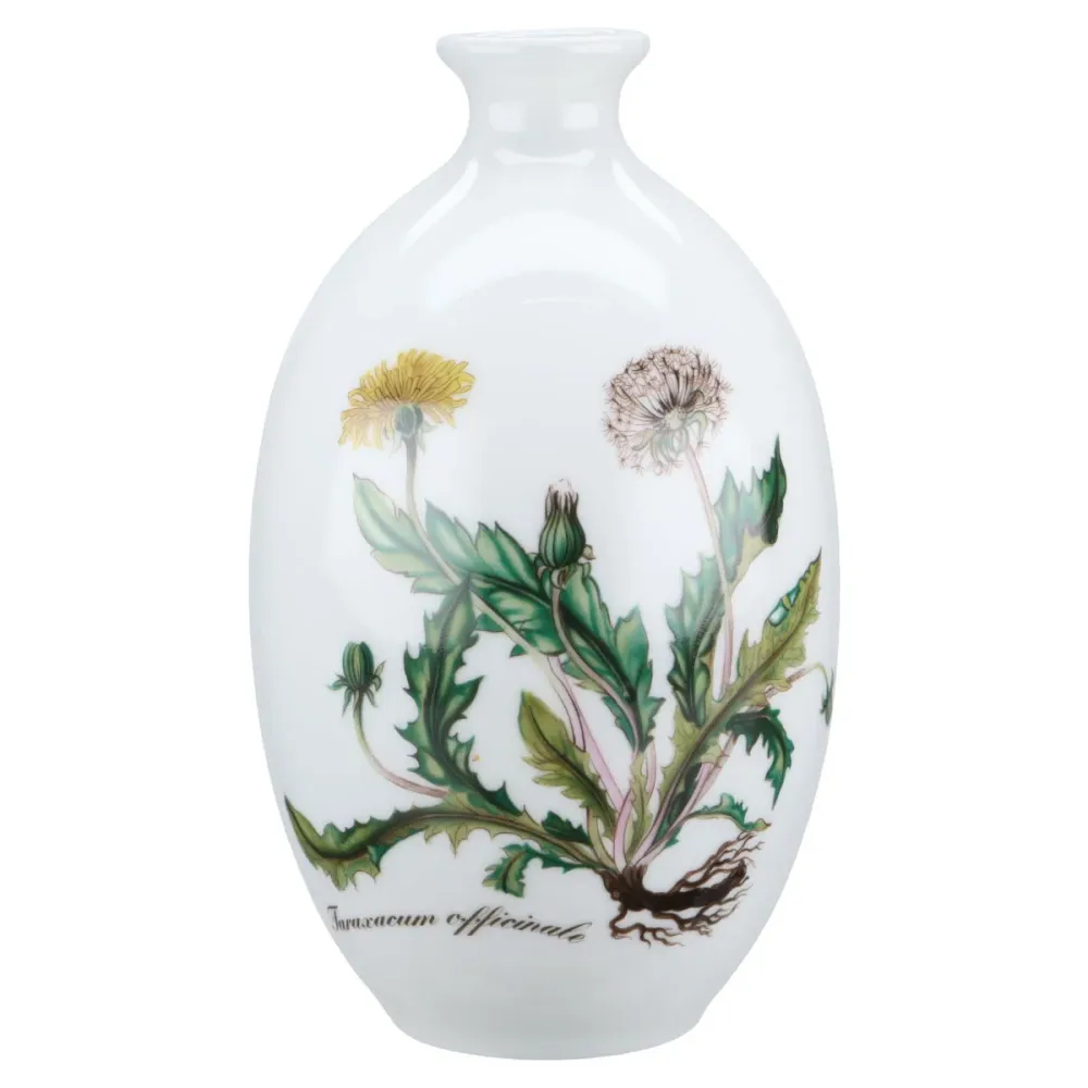 Vase Taraxacum officinale