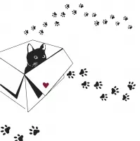 Katze Kiste