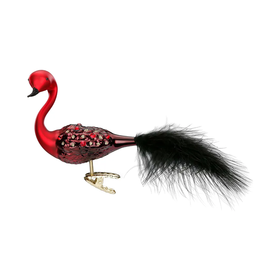 Roter Schwan mit schwarzer Feder