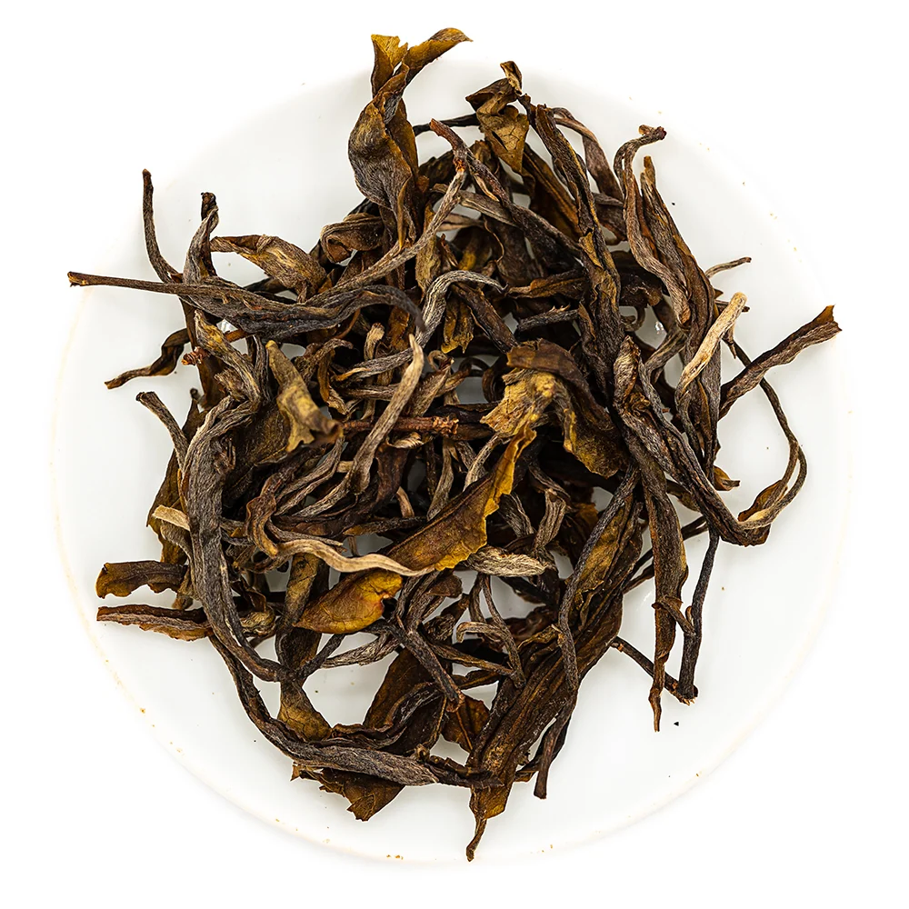 Jingmai Forest Einzelbaum Alter Sheng Pu-erh (2024)