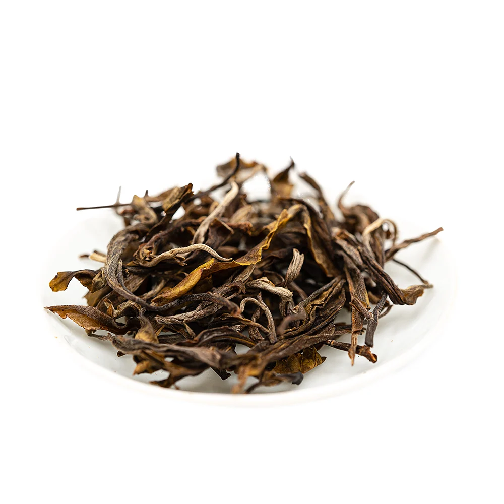Jingmai Forest Einzelbaum Alter Sheng Pu-erh (2024)