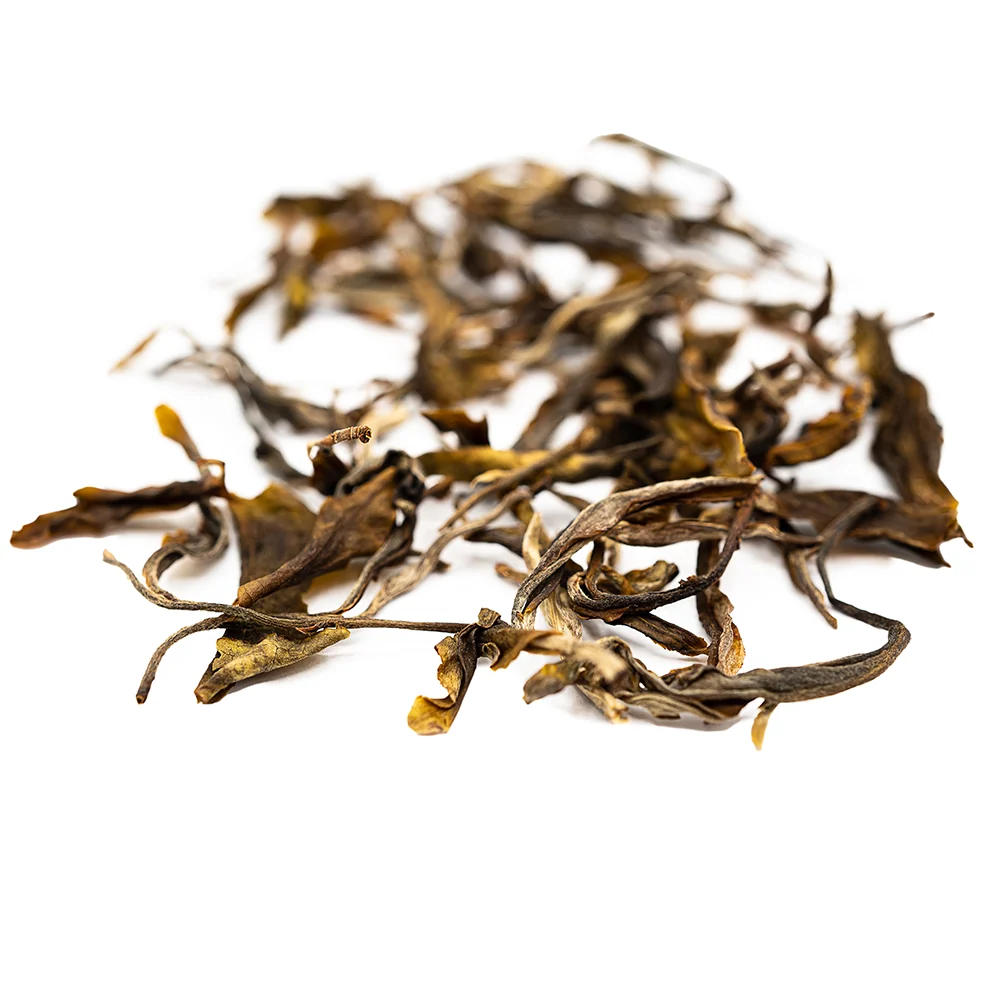 Jingmai Forest Einzelbaum Alter Sheng Pu-erh (2024)