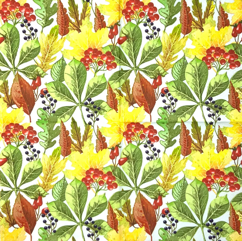 Rowanberry and forest leaves